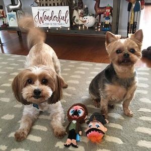 Meet your Posher, Jen